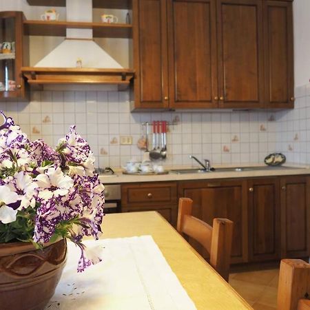 Casa Volpe Lägenhet Magliano Alfieri Exteriör bild